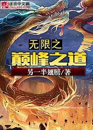 无限之巅峰之道图片