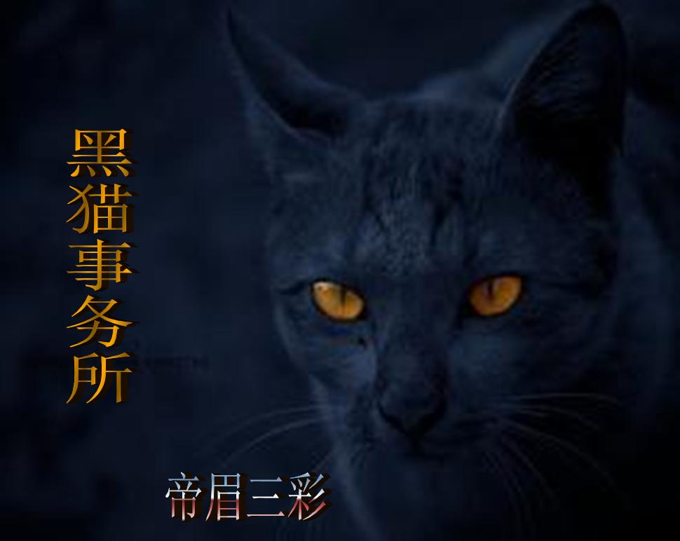 黑猫事务所图片