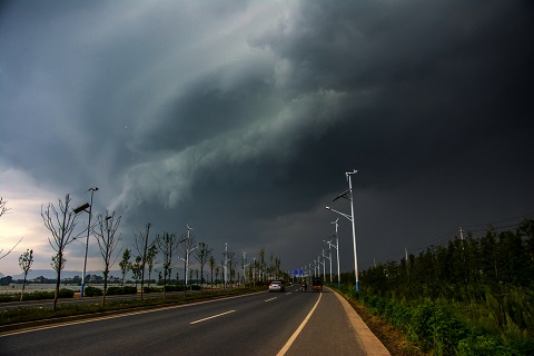 风雨征程图片