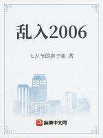 乱入2006图片