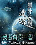 遭遇星外文明图片