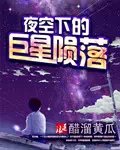 夜空下的巨星陨落