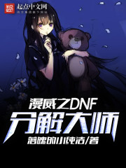 漫威之DNF分解大师图片